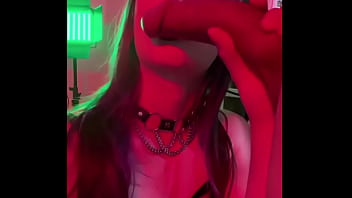 Verification Video - verification-video - Video 240088