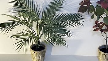 A Houseplant In Human Disguise.