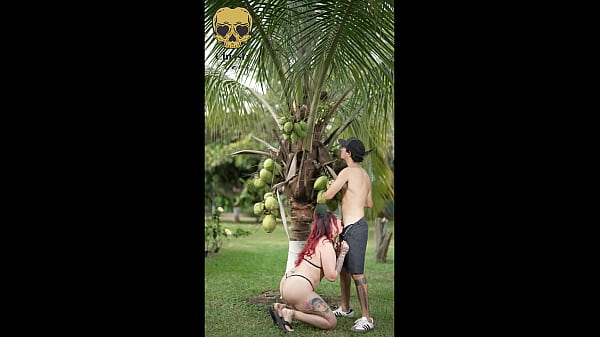 A Small But Delicious Outdoor Blowjob - licking, latina, outdoor, pornstar, milf, blowjob, slut, tattoo, ass-licking, huge-tits, whore, ball - Video 203319