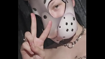 Verification Video - furry, verification-video - Video 265040