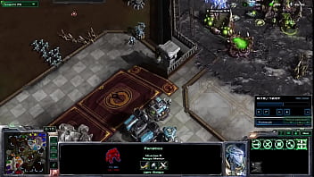 El Clan Niebla Se Come Toda La Armada Dorada Y Los Dts Como Unas Rameras