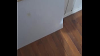 Vídeo De Verificação - verification-video - Video 255663