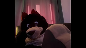 Furry Wolf Enjoys Some Alone Time