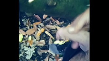 Paldaman - Outdoor, Masturbate - Unknown - 2025 - Amazing - Experience - Video 253265