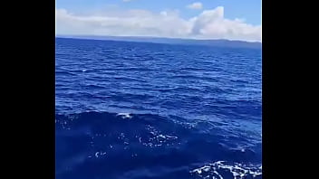 Verification Video - verification-video - Video 234027