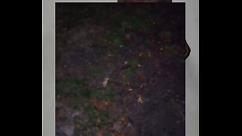 Blogging A Video I Took Of Another Zodiac Animal Found In Backyard Once