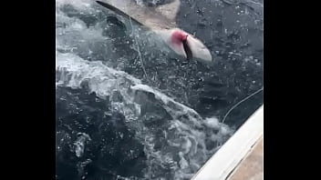 Ocean, Adventure, Shark, Fishing, Boating - Unknown - 2025 - Passionate - Experience - Video 246854