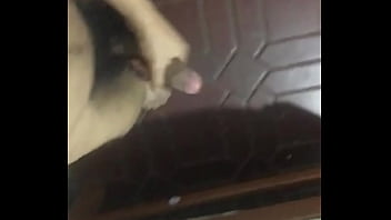 Vídeo De Verificación - verification-video - Video 212256