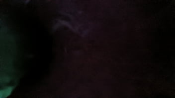 Verification Video - verification-video - Video 237347