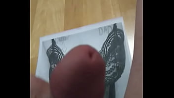 Tribute To Wildcat731