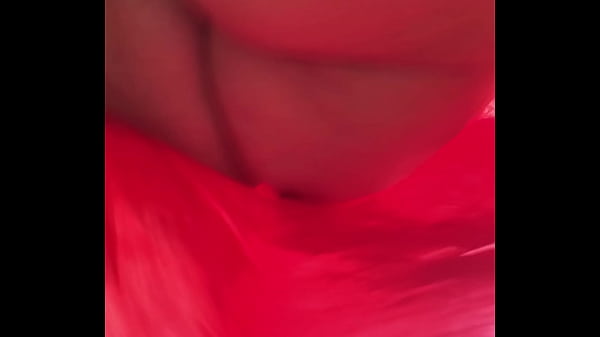 Verification Video - model, verification-video - Video 227506