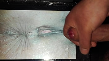 Cum Tributo Labostera30