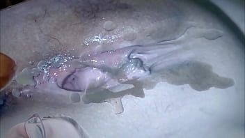 Tributo 2 Para Hyoimi