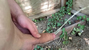 Pissing In The Woods - outdoor, pee, piss - Video 222371