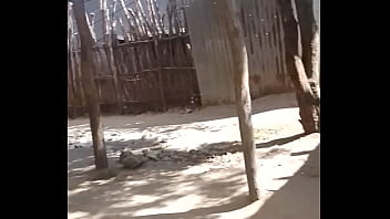 Verification Video - verification-video - Video 216207