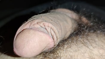 Verification Video - verification-video - Video 215679