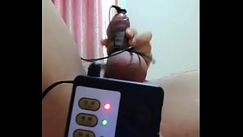 电丸小狗表演 求在京齐齐哈尔女票 q三一零三三七八三五六