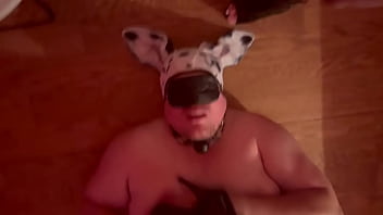 Sucking On Mistress Heel