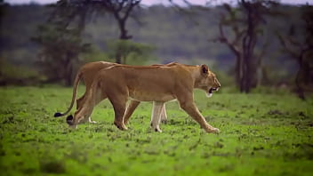 Enter Detailed Title Including Model Names For More Views - anal, anal-sex - Video 178753