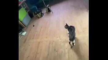 Sneak Peek Of The Photoshoot With Andishorti! ? This One' Going To Be Fire!#photoshootpreview #andishorti #bts #...