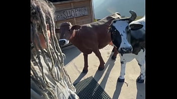 Spending Some Times In The Swiss Alps With Lily Lu Z Filmz ️