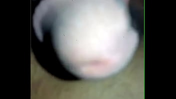 Verification Video - verification-video - Video 201981