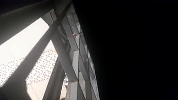 Vídeo De Verificação - verification-video - Video 195407