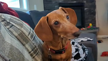 One Night Stands The Casual Sex Guide With Roxy Fox