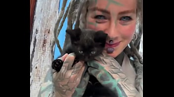 Sweet Little Black Kitty Cat ??what' Your Favorite Thing About Black Cats?#blackkittylove #sweet #catvibes #psyla...