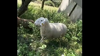 Wild Animals Spotted While Running In Nature! ??what' The Coolest Wildlife You_ve Encountered On A Run?#natur...