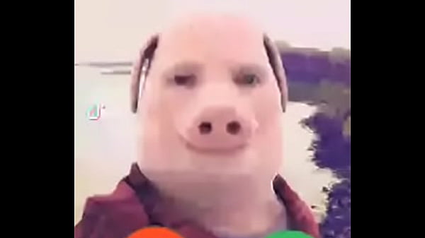 Jhonporkiscalling