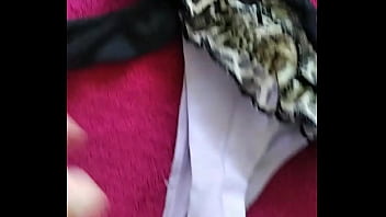 Algumas Calcinhas Da Minha Mulher Que Uso