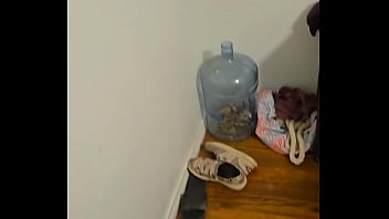 Verification Video - verification-video - Video 154787