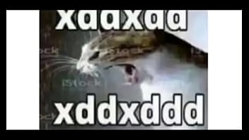 4 Garotas Tentando Arrombar Uma Porta ?