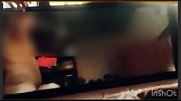 De Perrito Frente Al Espejo