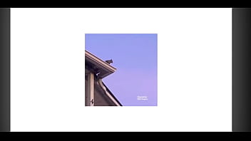 Chandelier - Will Paquin