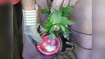 Electro Nettles Cbt Induced Cum For Cbt Louis