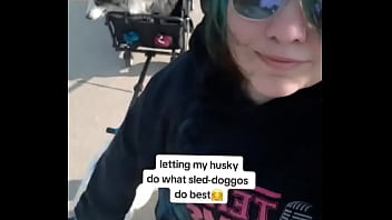 My Husky Pulling His Older Brother In The Wagon??