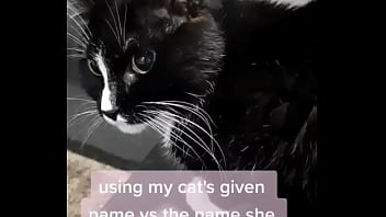 Using My Cats Given Name Vs The Name She Chose For Herself?