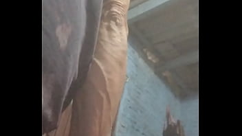 Sexy Perrita - Riding, Gay-amateur - Unknown - 2025 - Amazing - Performance - Video 169569