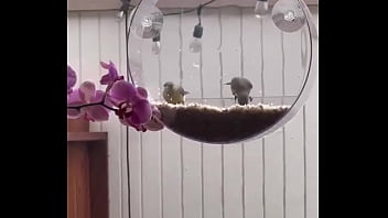 I_m Obsessed With This ?️