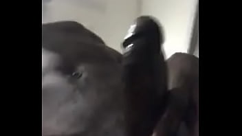 Verification Video - verification-video - Video 157444