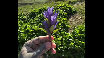 I Got A Super Amazing Flower From Lily Lu Filmz! ?what' The Most Thoughtful Gift You_ve Ever Received?#flower...