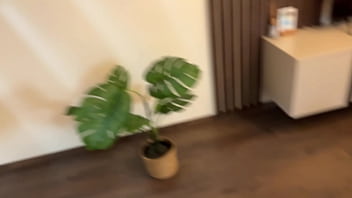 Halloween Pee Drink And Golden Shower