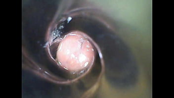 Inside View Of Me Cumming Inside Toy