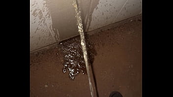 Pissing On Wall Outside
