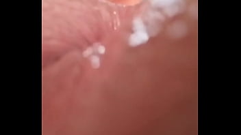 Close-up Bocce Insertion