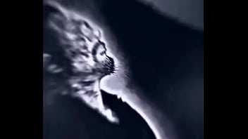 Edit Massa Papo Reto