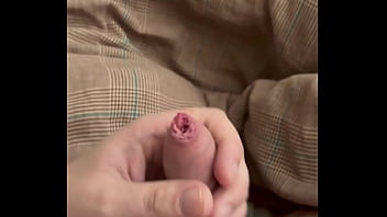 Pull My Small Dick Out And Jerk