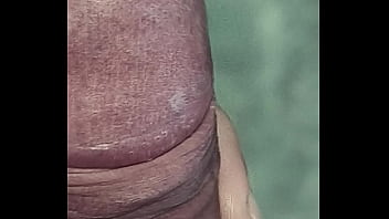 Szinaaf - update #2 - VID 20241109 100935 - Nov 09, 2024